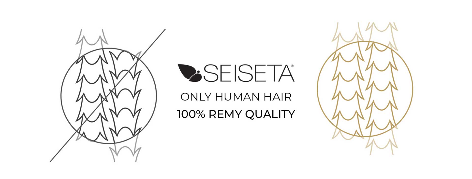 Seiseta, seulement des cheveux humains, 100% qualité remy